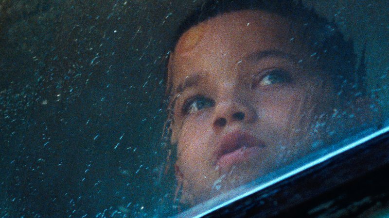 We the Animals • New Zealand International Film Festival